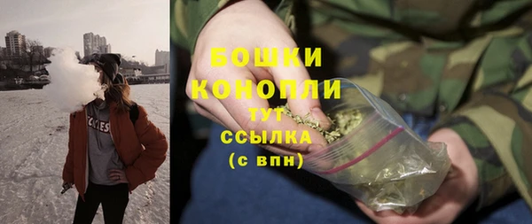 ГАЛЛЮЦИНОГЕННЫЕ ГРИБЫ Белоозёрский