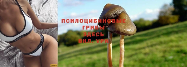 молекула духа Белокуриха