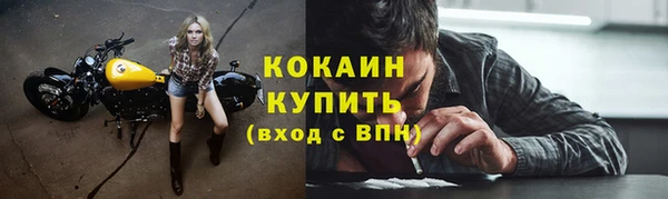 молекула духа Белокуриха
